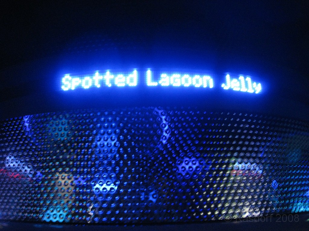 Baltimore MD 2009 2008.jpg - A 4th of July trip to Washington DC in 2009 included a stop in Baltimore MD to see the National Aquarium.